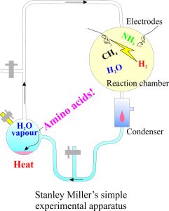 Miller's experimental setup