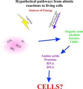 Possible abiotic reaction pathways