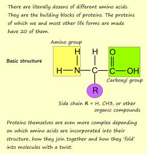 The molecularstructure of amino acids