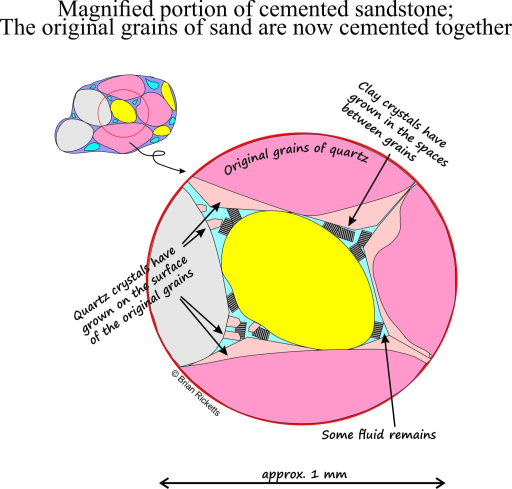 diagramatic detail of cement that forms pores, in some cases close to the surface, and in other cases during burial