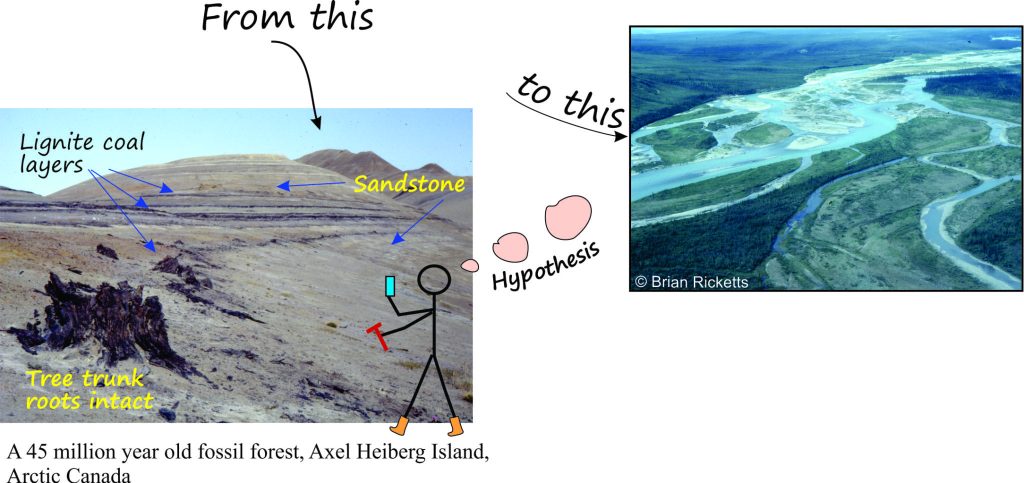 Interpreting ancient environments through our understanding of modern analogues