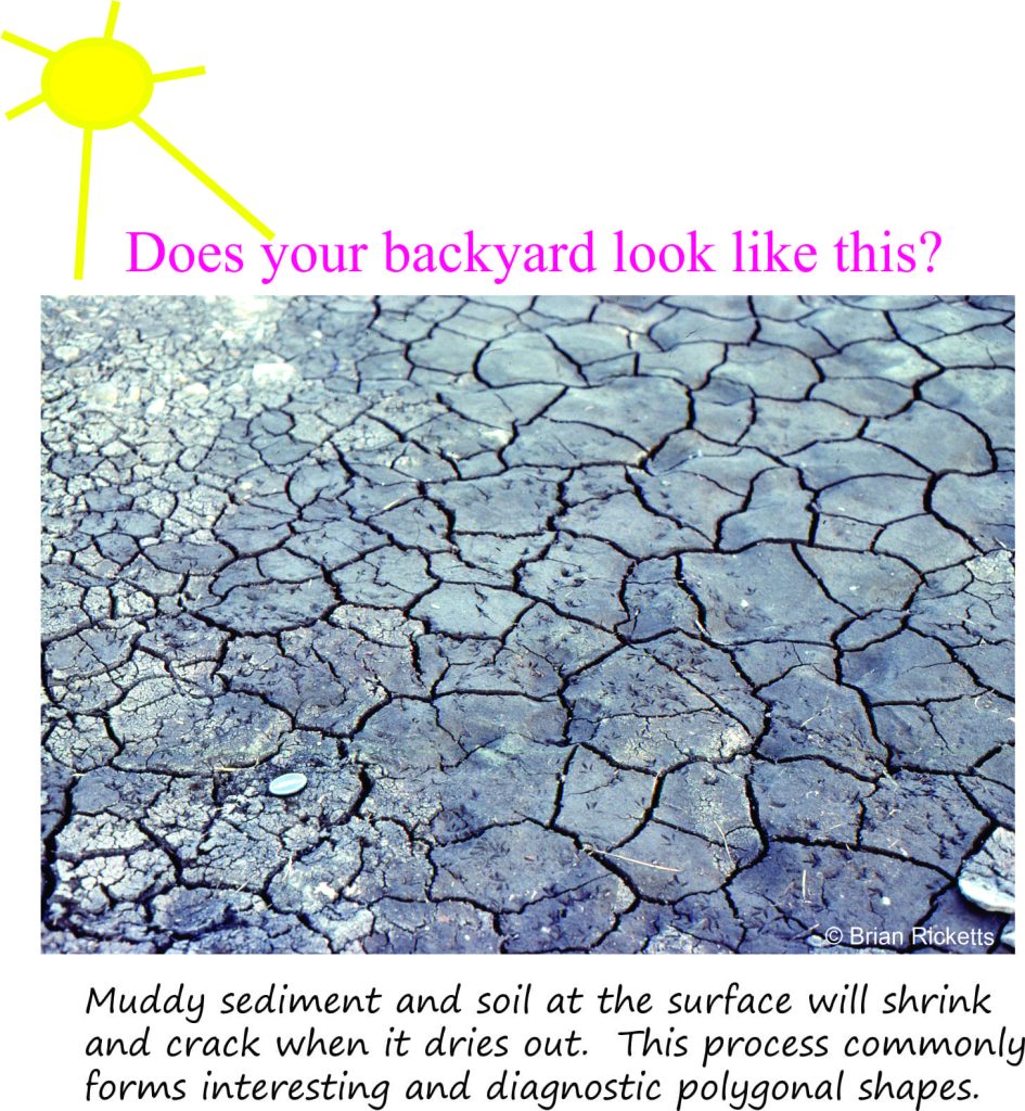 Mudcracks