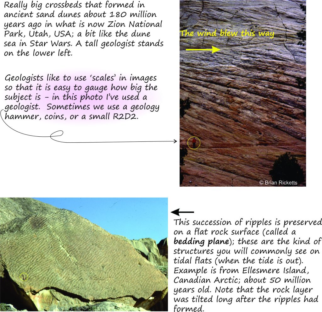 Top: Very large dune type ripples; Bottom: small current ripples on bedding