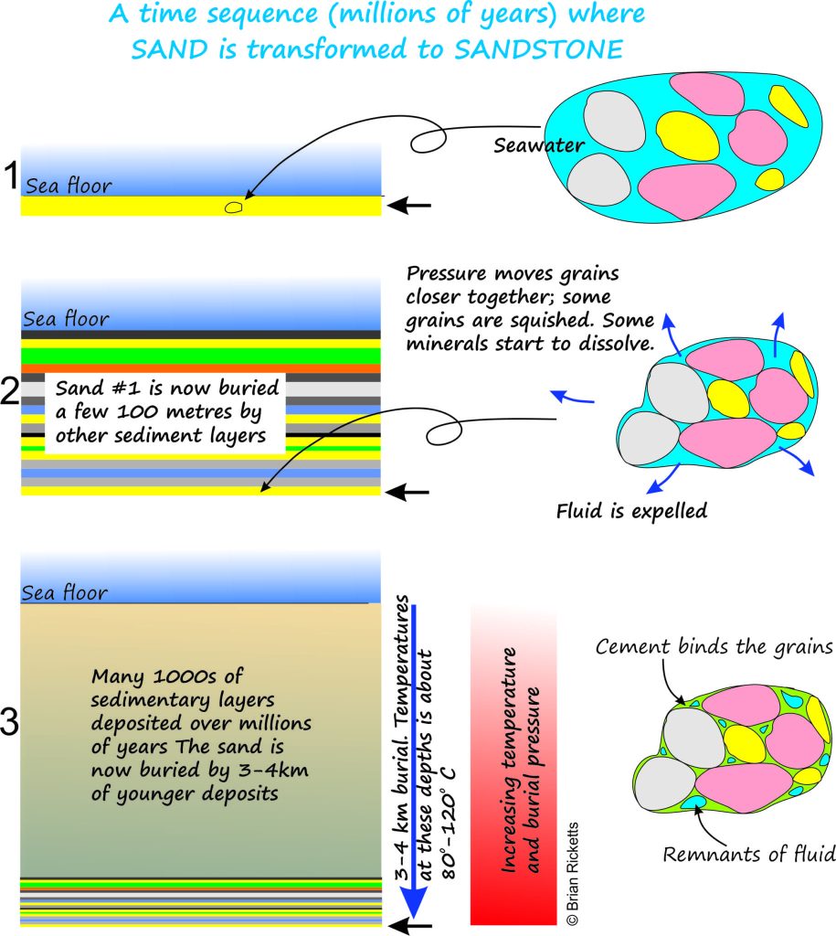 schematic of sediment burial, compression and water expulsion