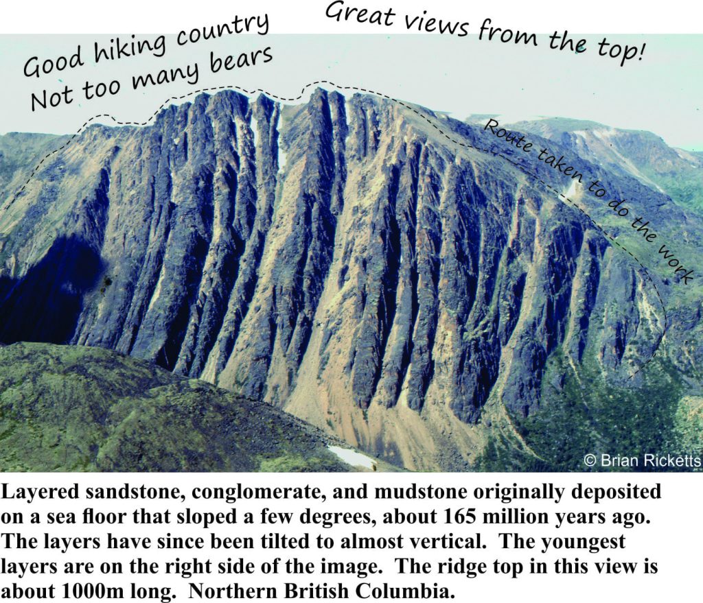 Tilted sedimentary layers - dotted line shows where we worked