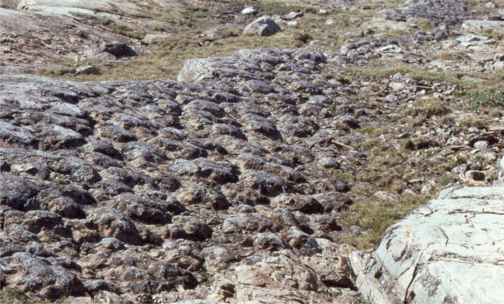 The surface exposed here is the top of a bed containing simple, 2000 million year old stromatolite domes; the rock between each dome has been removed by erosion, so that we can now see their original form. The view presented here is almost identical to some modern stromatolite domes at Shark Bay, Western Australia. Hammer for scale (image centre).