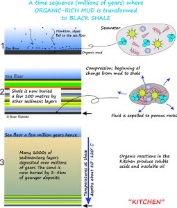 Diagram showing the stages of organic shale burial and changing composition.