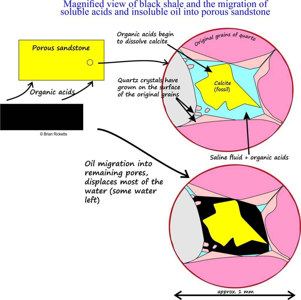 Microscopic view of pore spaces filled with hydrocarbons