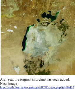 Aral sea decline caused by agricultural drawdown