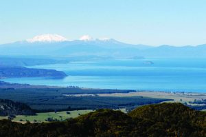 lake taupo