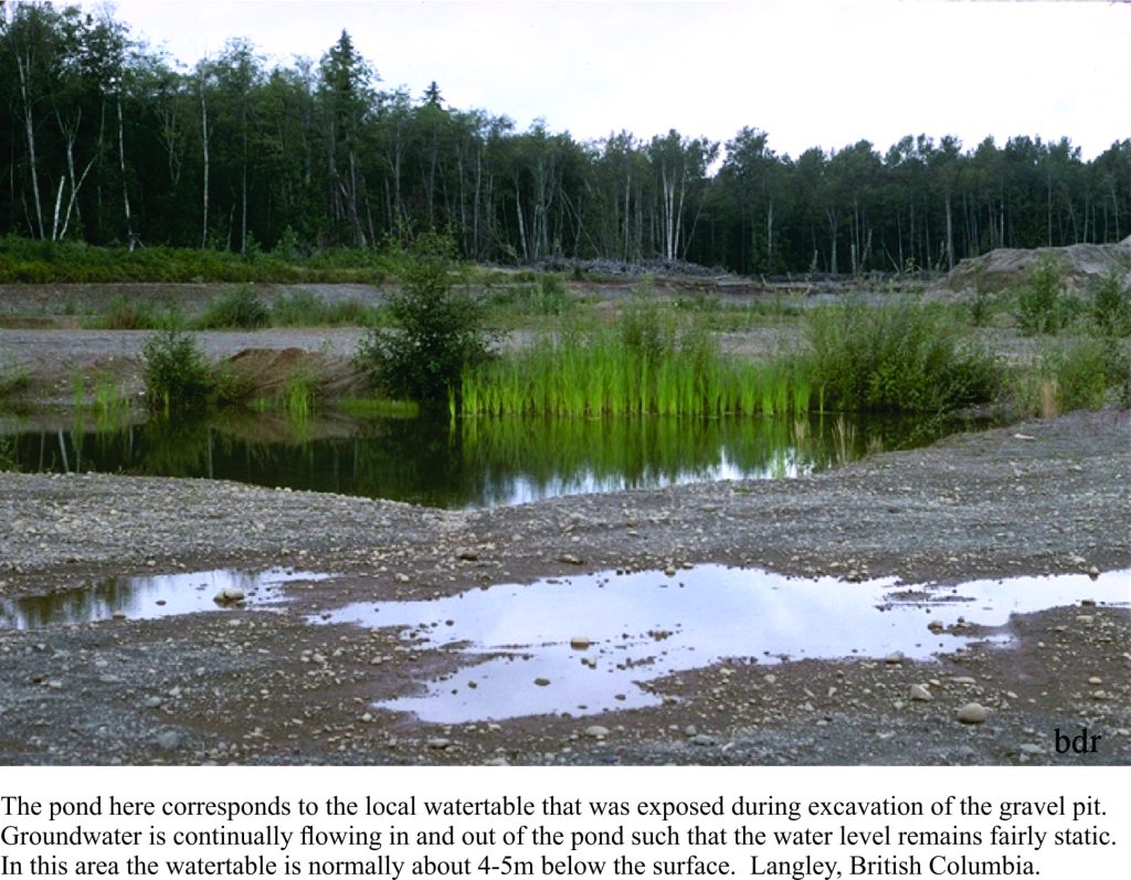 An excavated watertable in a gravel pit