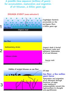 Possible sequence of events forming the Shunga deposit