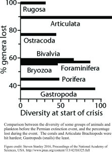 Comparison of pre- and post- Permian-extinction faunas