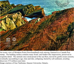 Mistaken Point, the site of spectacular Ediacaran fauna