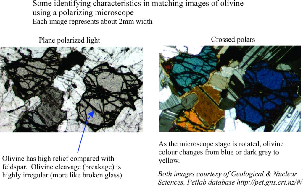 Some identifying traits of olivine in thin section