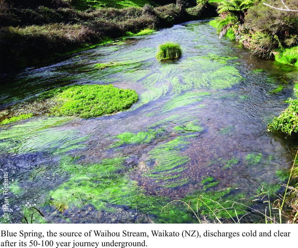 Blue Spring in central NZ. Groundwater supplied is 50-100 years old.