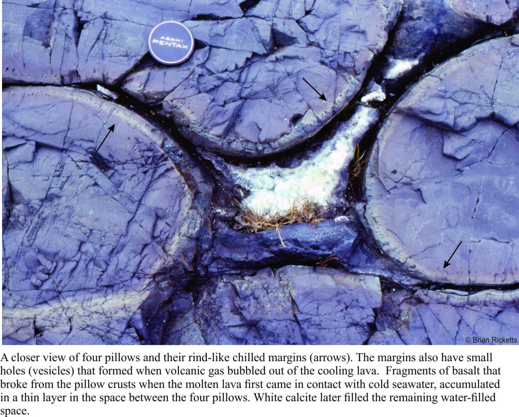 Chilled margins of ancient pillow basalts