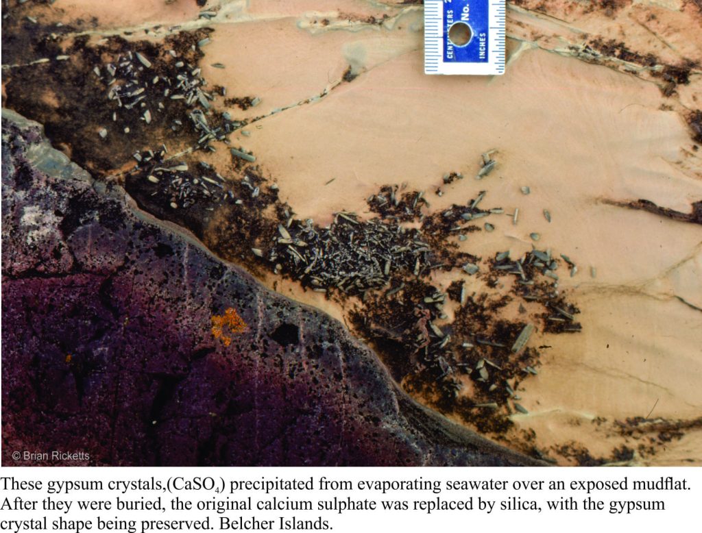 Gypsum (replaced by dolomite) in a Paleoproterozoic tidal-supratidal flat