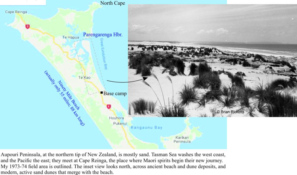 Aupouri Peninsula and a view north along Great Exhibition Bay, NZ