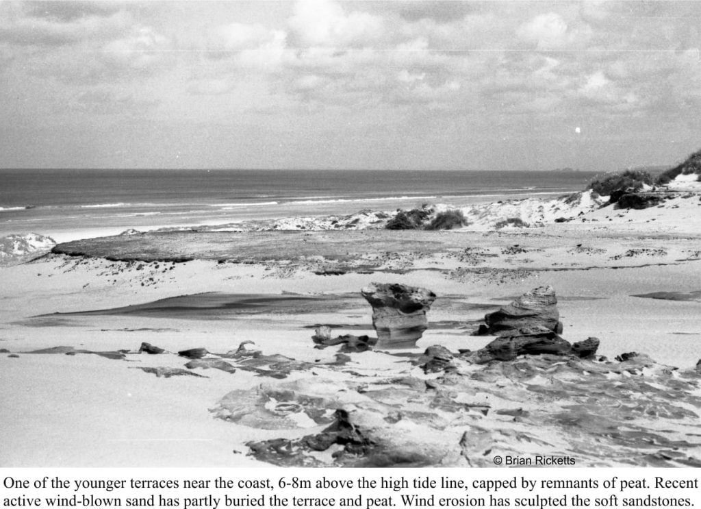 Remnants of a marine terrace, capped by thin peats, Great Exhibition Bay