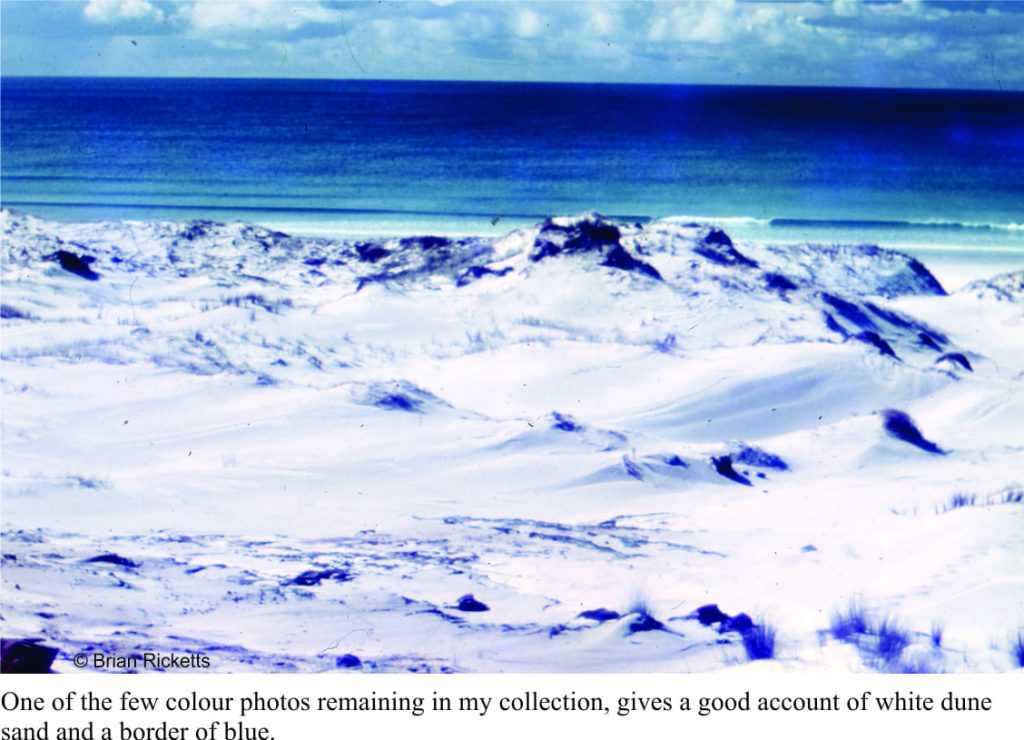 Coastal dunes of silica-rich sand, and a deserted beach