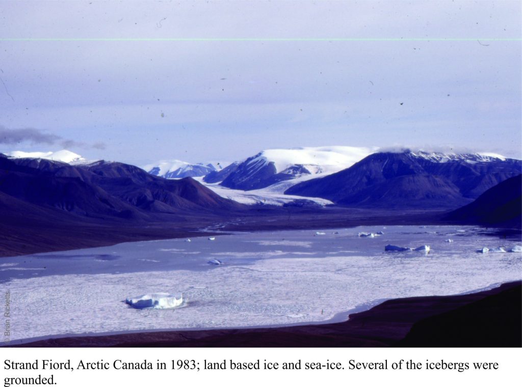 Strand Fiord, Axel Heiberg Island.