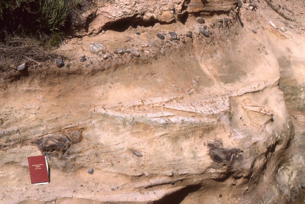 Erosional scour and fill from Blacks Beach California shows Eocene submarine canyon scours filled with sand and pebbles.