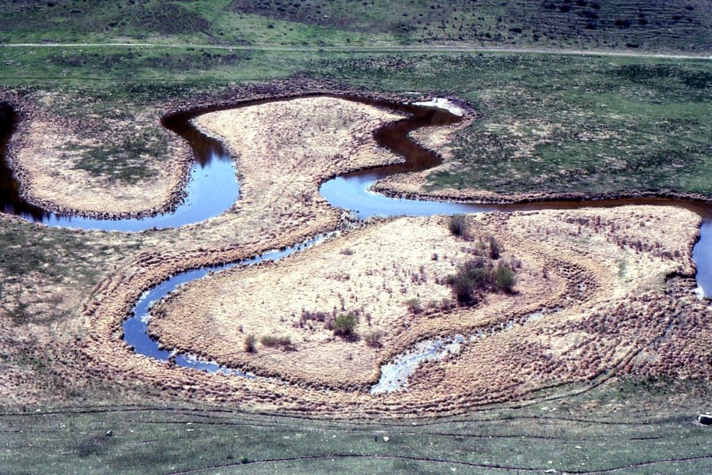 meandering river