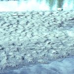 bar top ripples