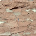 Precambrian mudcracks