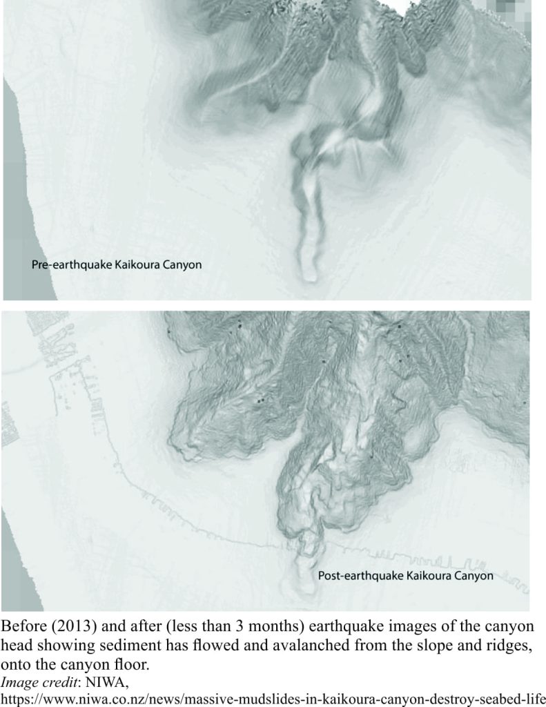 Pre- and post- 2016 earthquake changes to Kaikoura Canyon