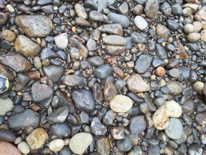 Poorly sorted, subangular to well rounded cobbles and sand on a beach, Little Bay Coromandel