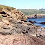 A broader view of stratified, possibly surging debris flows in proximal fan channels. Upper Cretaceous Pigeon Point, California.