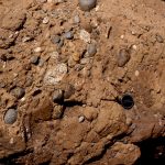 2. Classic outcrops of pebbly mudstone - matrix-supported debris flows, that probably accumulated in proximal fan channels. Upper Cretaceous Pigeon Point, California.