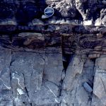 Submarine channel sandstone overlain by thin sandy turbdites and overbank mudstone. Point San Pedro, California.