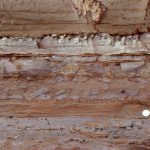 Event bed: A thin Bouma Tb layer (at the coin) is overlain by a thin, rippled Tc (just above the coin), that subsequently was eroded by a thin, but coarse-grained sandy flow that ripped up local mudstone slabs and wafers. The middle grey mudstone is mostly Te (hemipelagic) with small bottom-current ripples redistributing sand across a thin layer. Waitemata Basin, Cockle Bay, south Auckland.