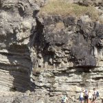 A massive raft of columnar-jointed basalt, a remnant of either a lava flow of dyke from an oceanic island somewhere west of the basin. The weight of the block and compaction have pushed it into the underlying turbidite beds. Early Miocene Waitemata Basin, Army Bay, Auckland.