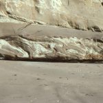 Classic slump folded turbidites, confined to a specific interval; strata above and below are relatively undeformed.  Fold sandstone limbs are partly detached or pulled apart, and some mudrocks have been fluidized,  Waitemata Basin, Takapuna, Auckland.