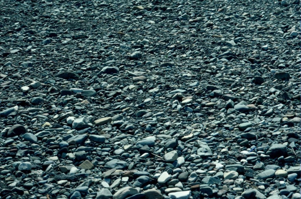 Pebble imbrication on a modern river bank. Flow to the right.