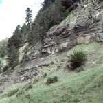 Thick, proximal to mid-fan turbidites and possible channel overbank, Waitemata Basin, Goat Island Marine Reserve