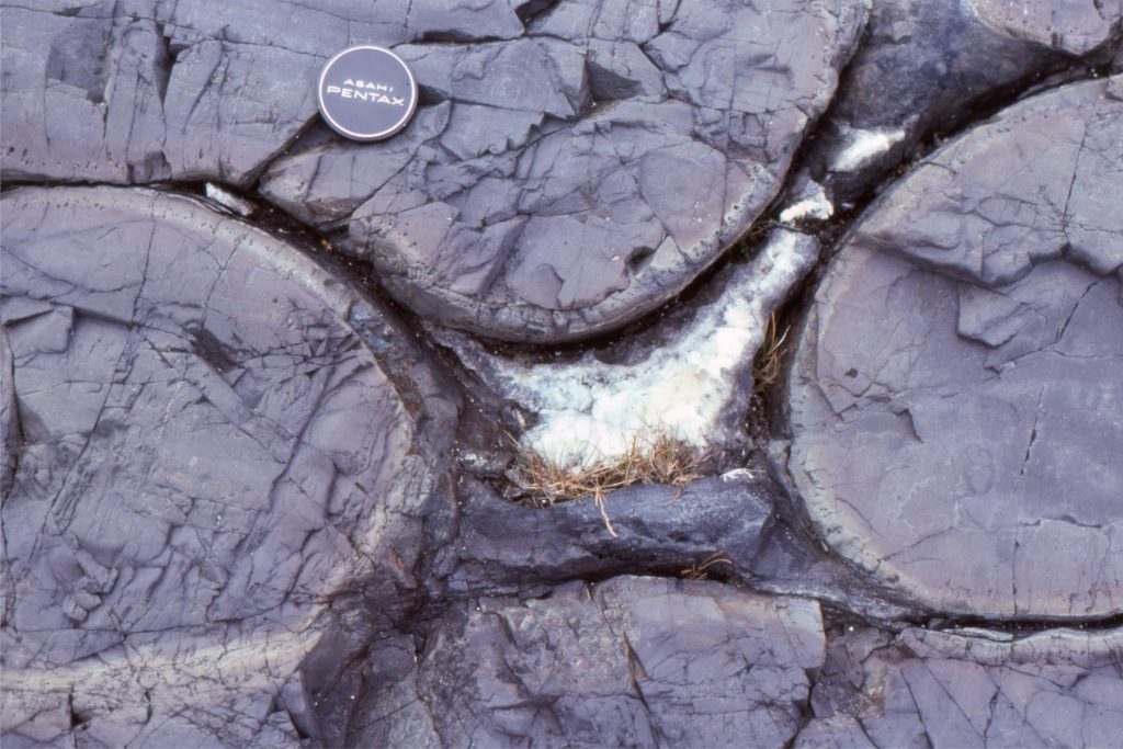 An example of geopetal structure as a void between four pillows, where the bottom layer of fragmental debris is overlain by coarse calcite and prehnite cements. Stratigraphic top here is definitive. Belcher Islands.