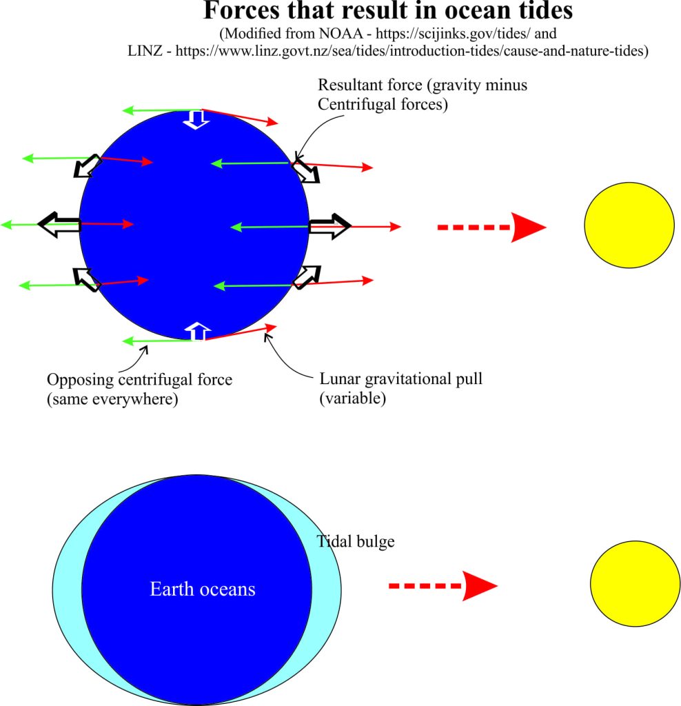 Forces that result in tides