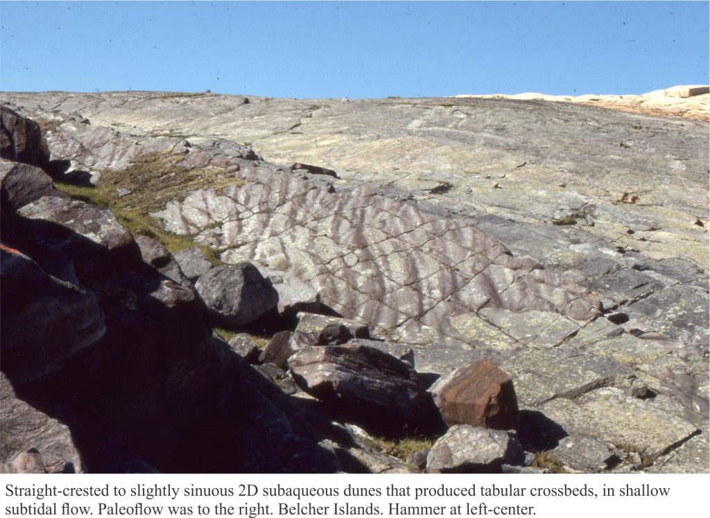 Tabular. or two dimensional dunes, from Precambrian intertidal deposits