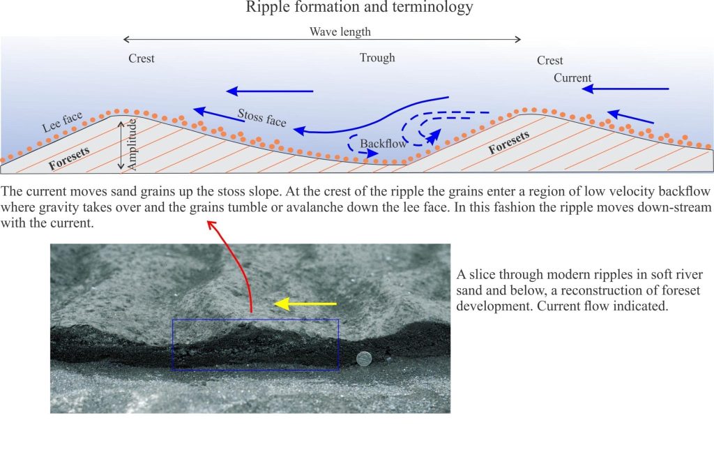 Ripple and crossbed terminology with a modern example below