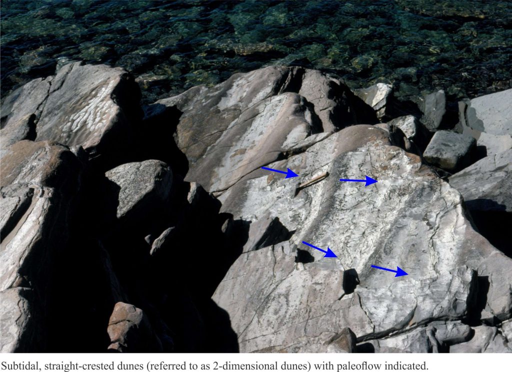 Large sand ripples exposed on bedding allow measurement of paleocurrents