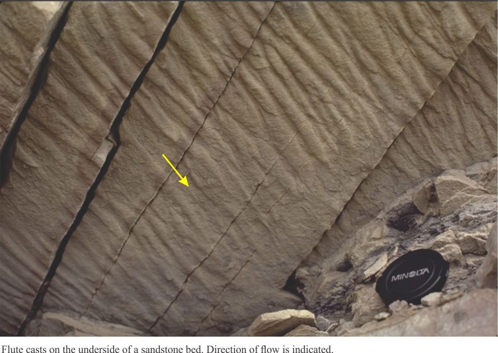 Flute casts provide unambiguous paleocurrent flow directions