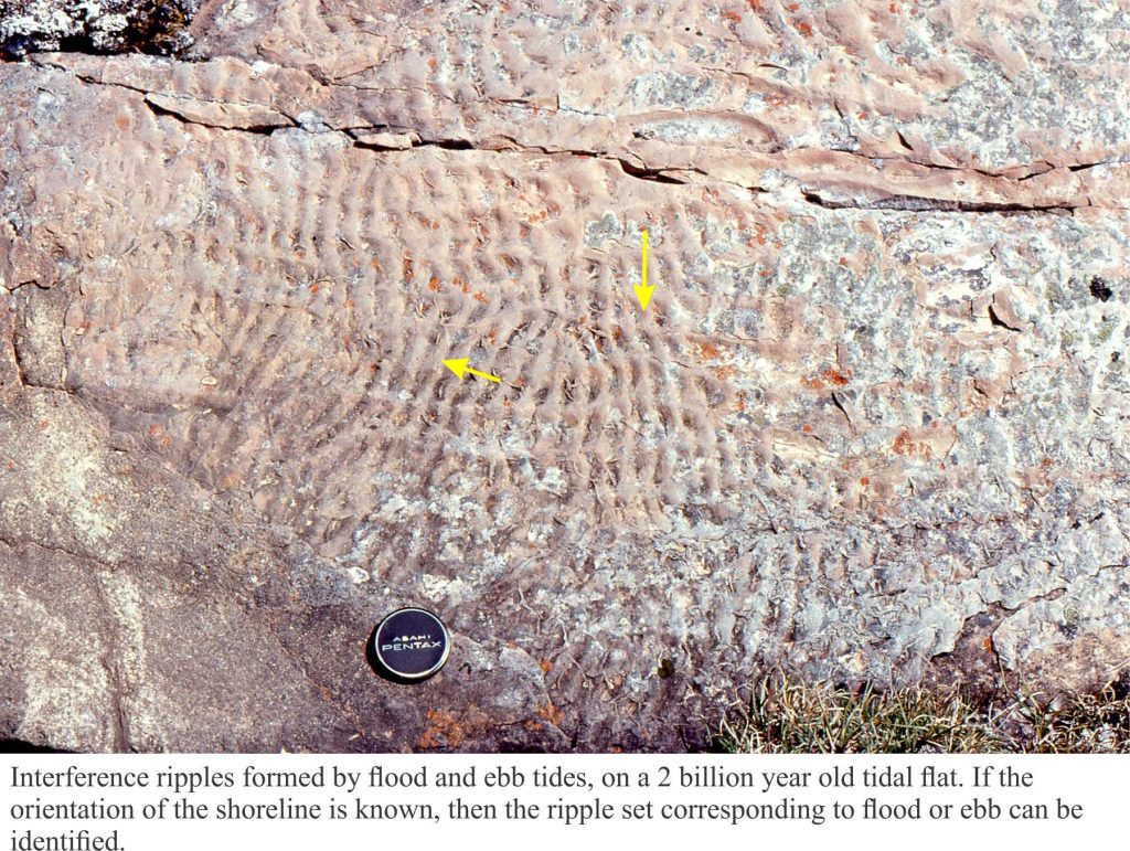 Precambrian interference ripples on a mixed sand-mud tidal flat