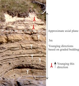 Younging directions in recumbent fold