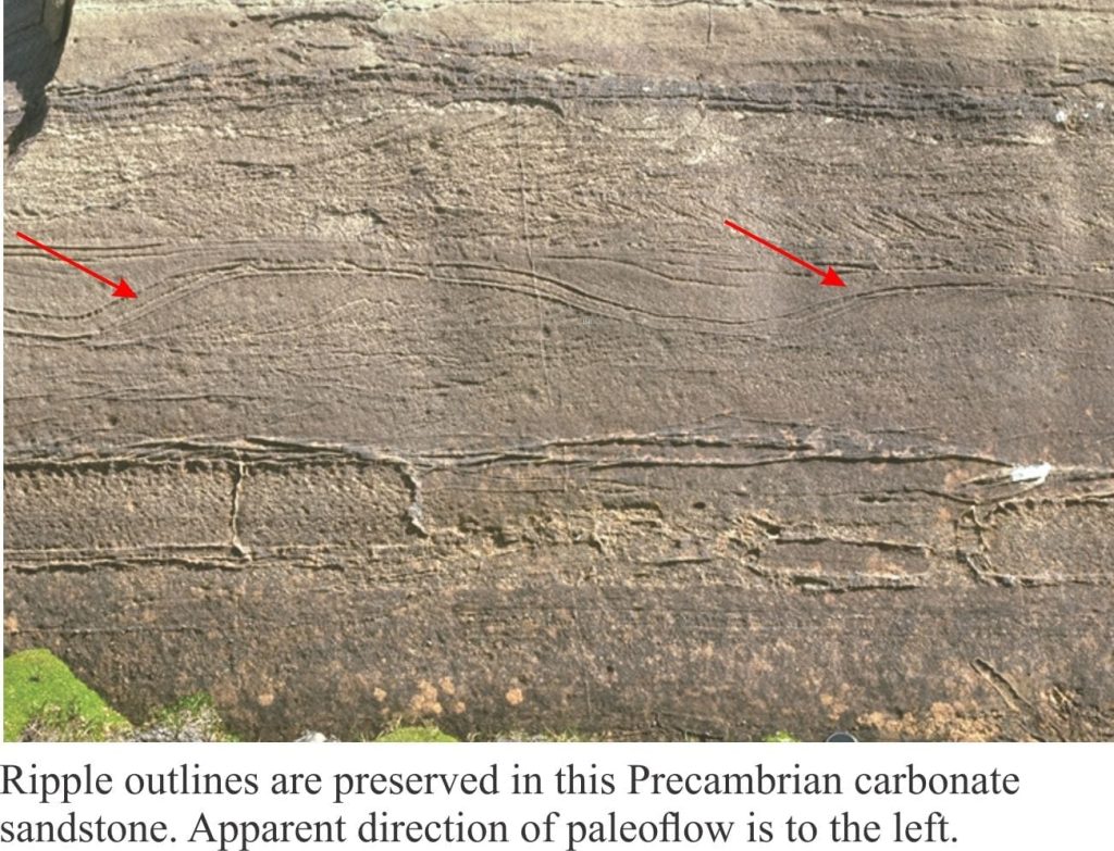 Ripple crossbeds in cross-section. In this example the original shape of the ripple is preserved.