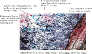 neomorphic calcite cement